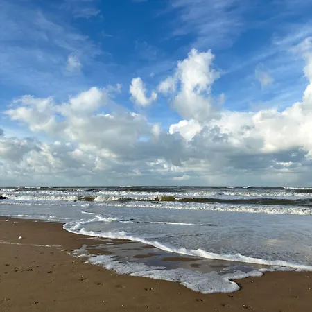 Elegant Au Coeur De Apartman